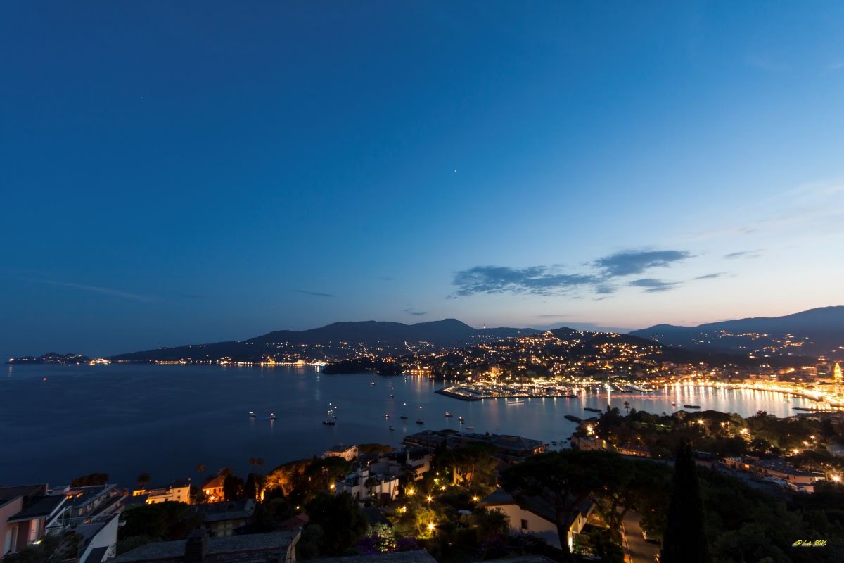 Vue de nuit de Rapallo