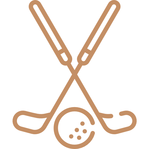 Golf clubs icon